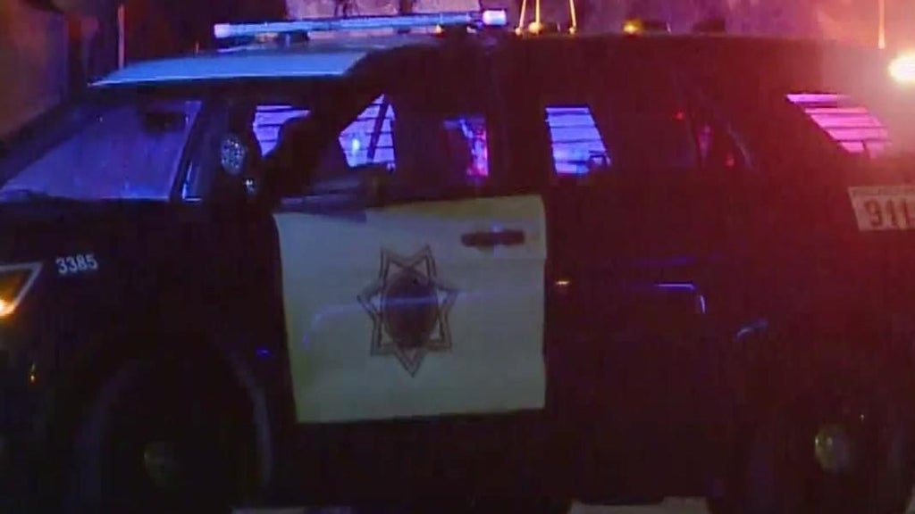 San Jose teens involved in traffic stop that preceded police shooting, attempted carjacking — CBS Bay Area (KPIX), Round Rock Schools news